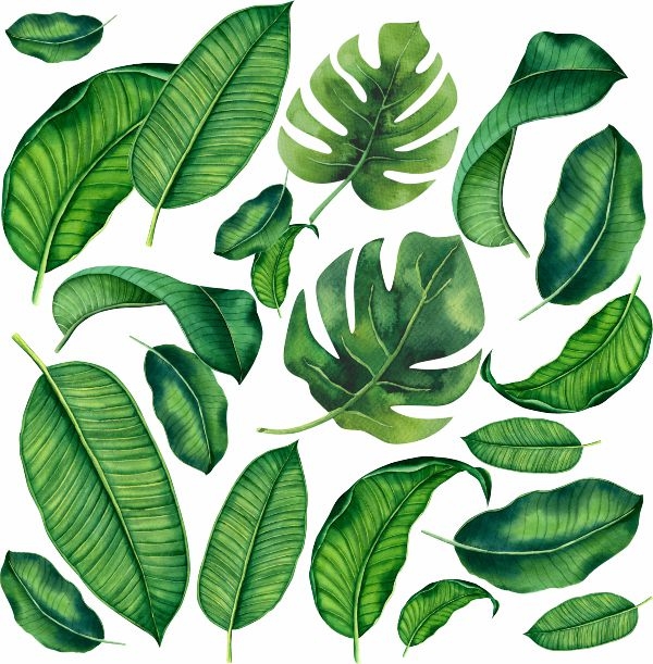 Wallsticker - Leaves