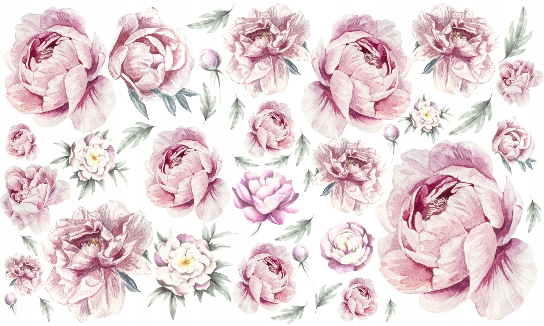 Wallsticker - Peonies / Pink