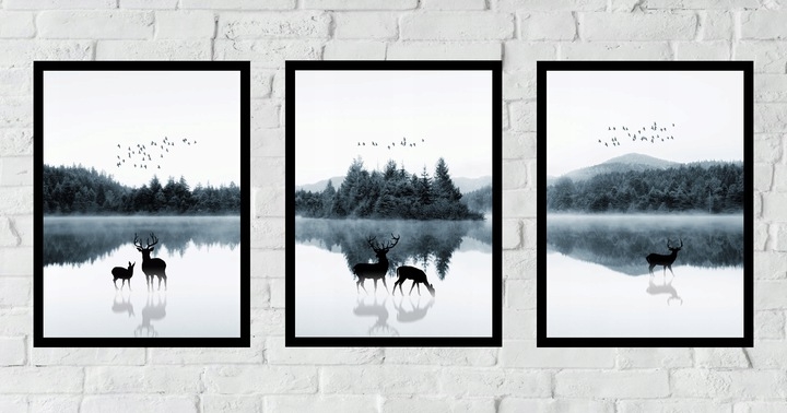 Posters - Deer / Set of 3