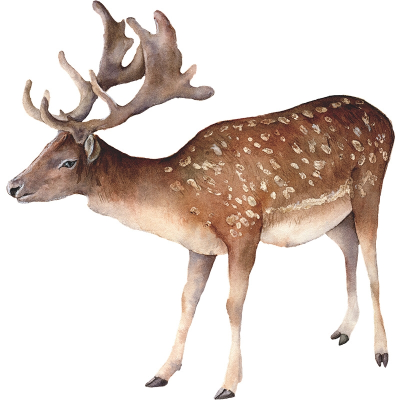 Wallsticker - Spotted Deer