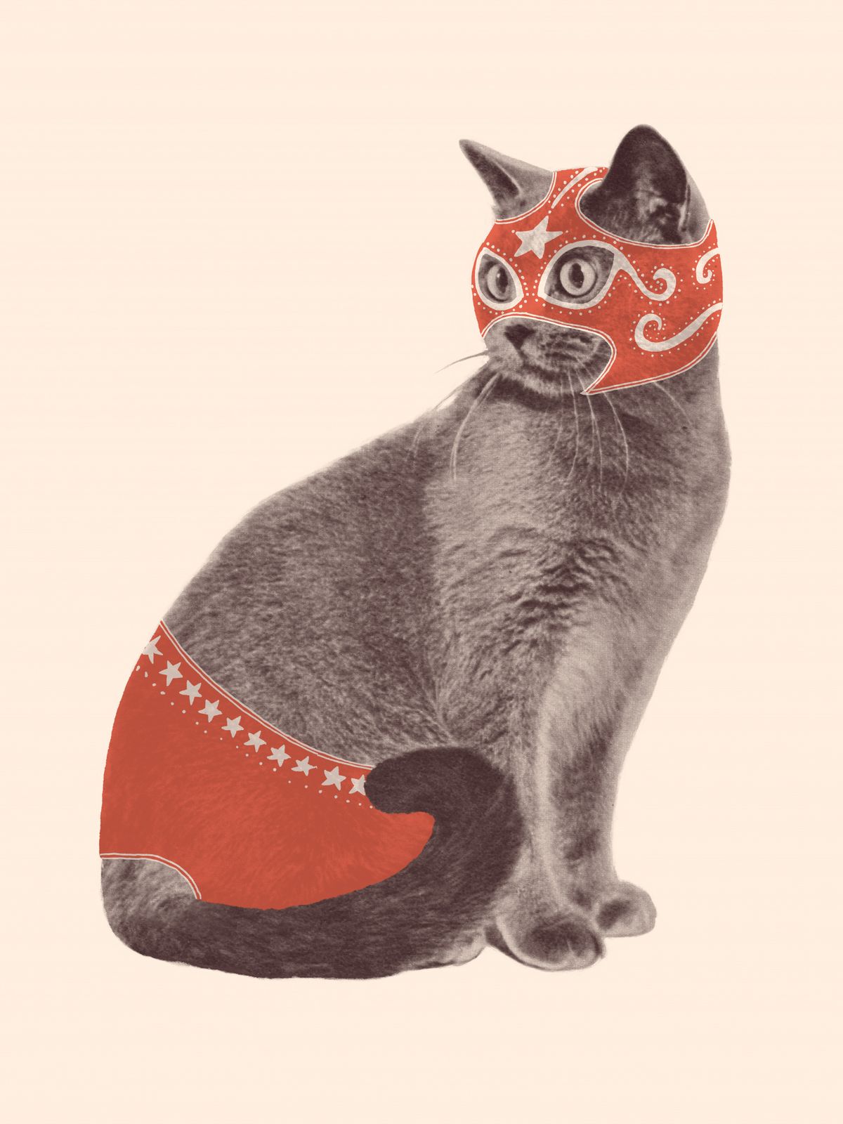 Poster - Cat with Mask