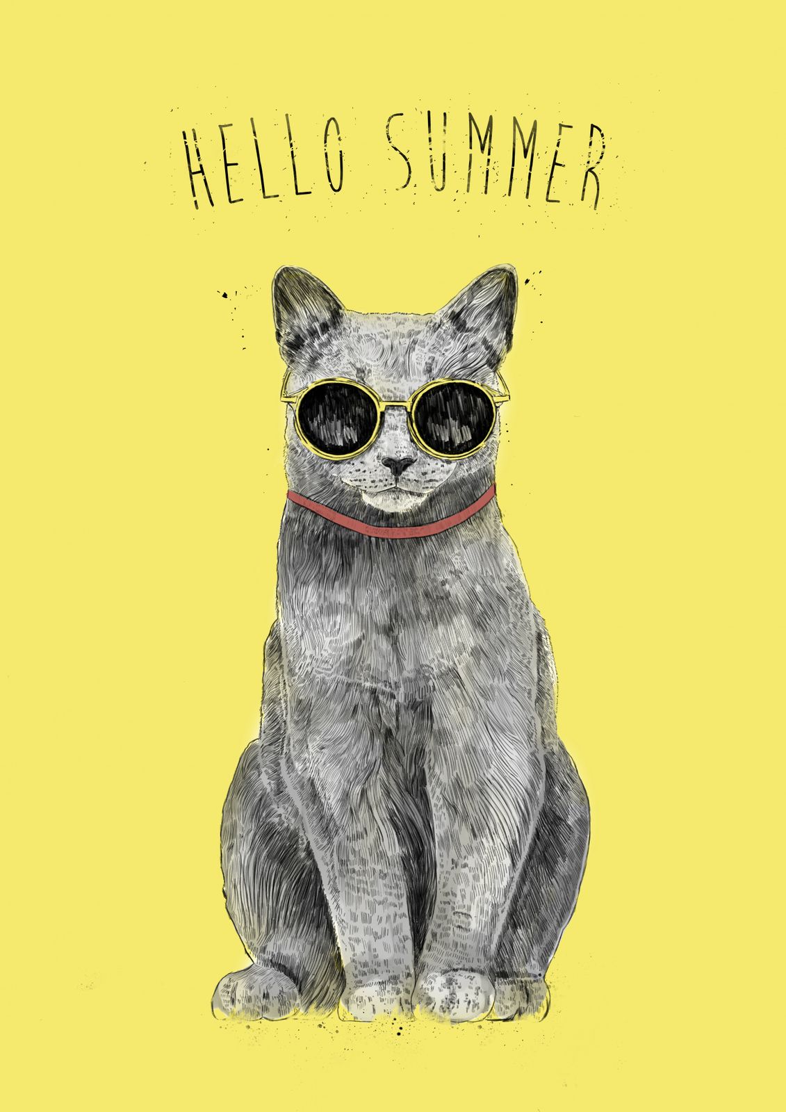 Poster - Summer Cat