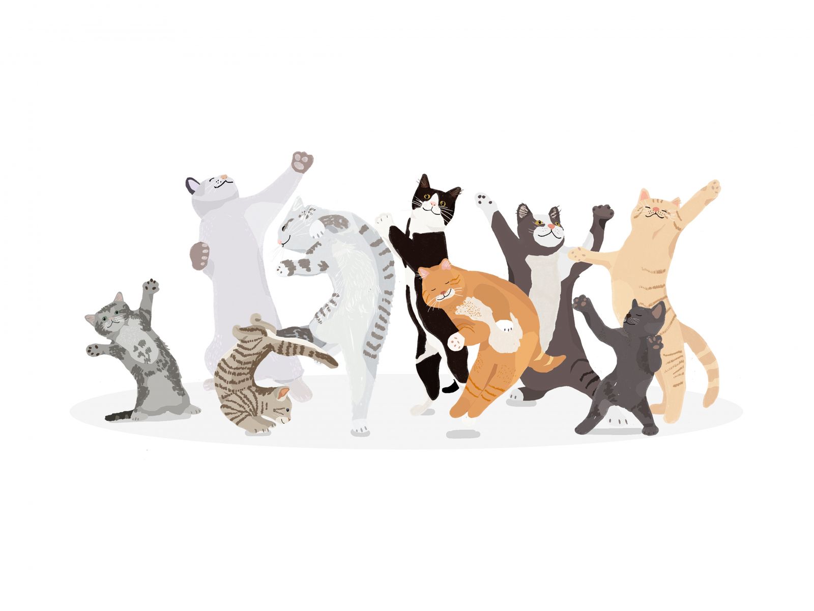 Poster - Dancing Cats