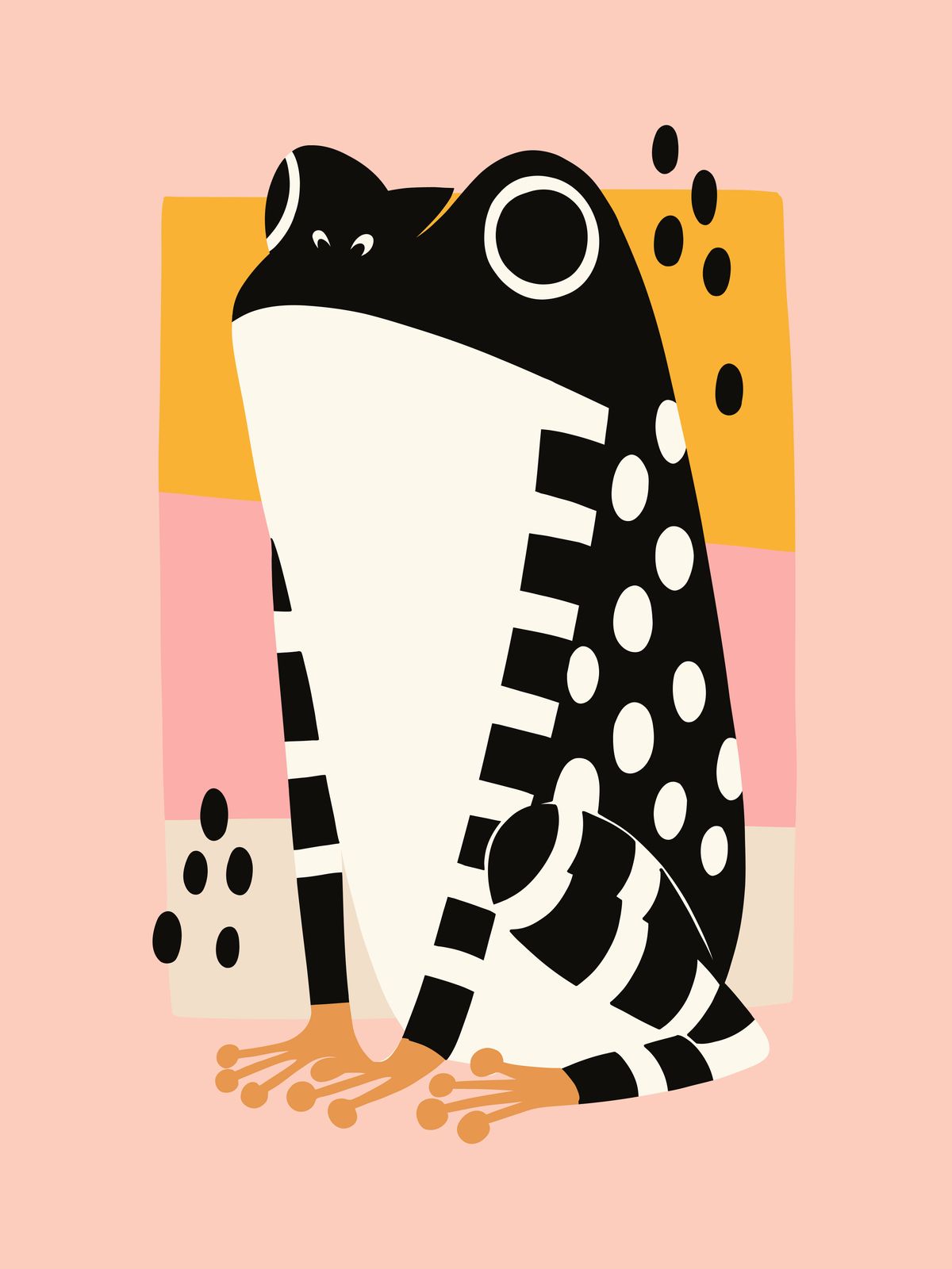 Poster - Black and White Frog