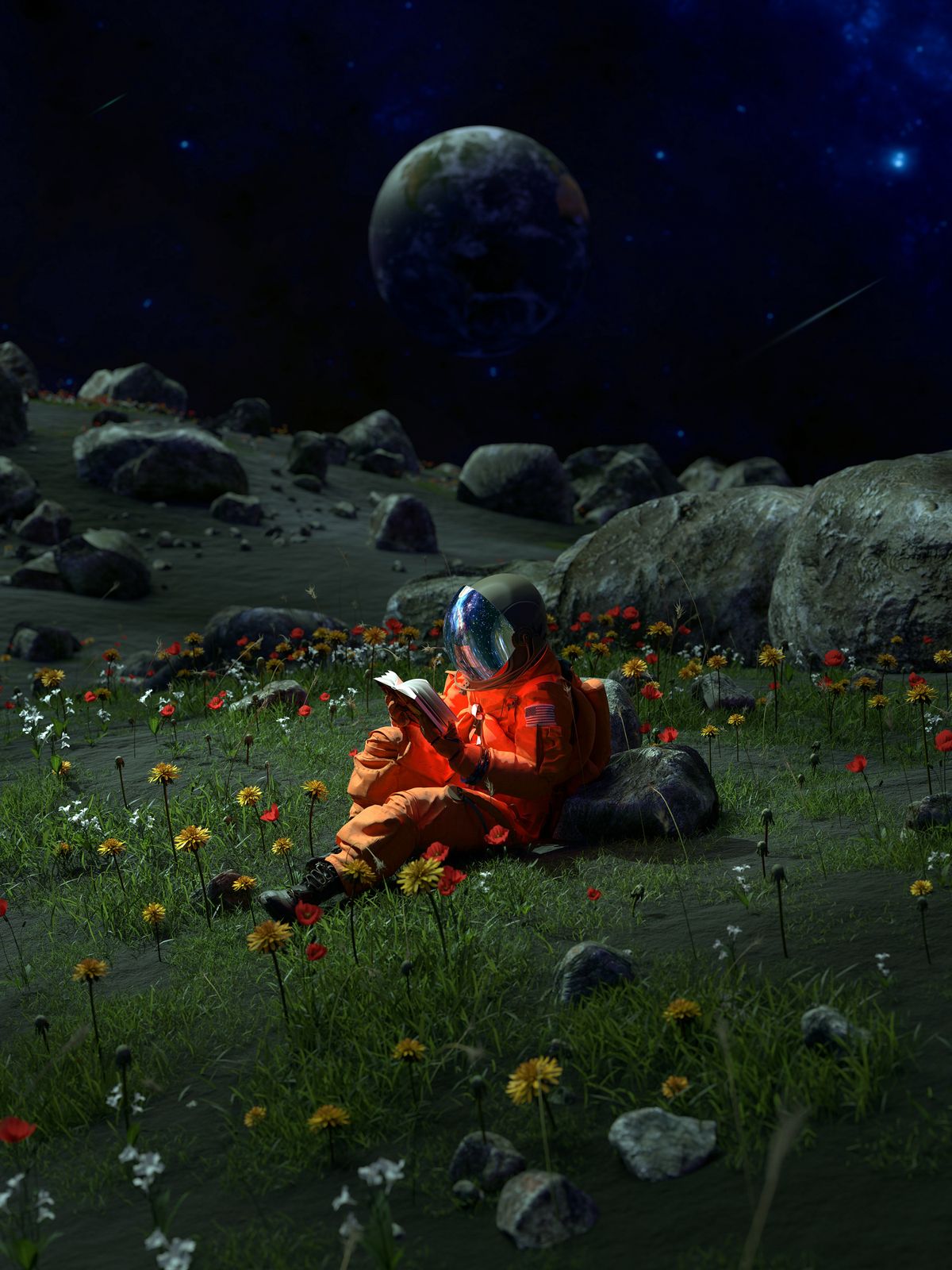 Poster - Astronaut in Field