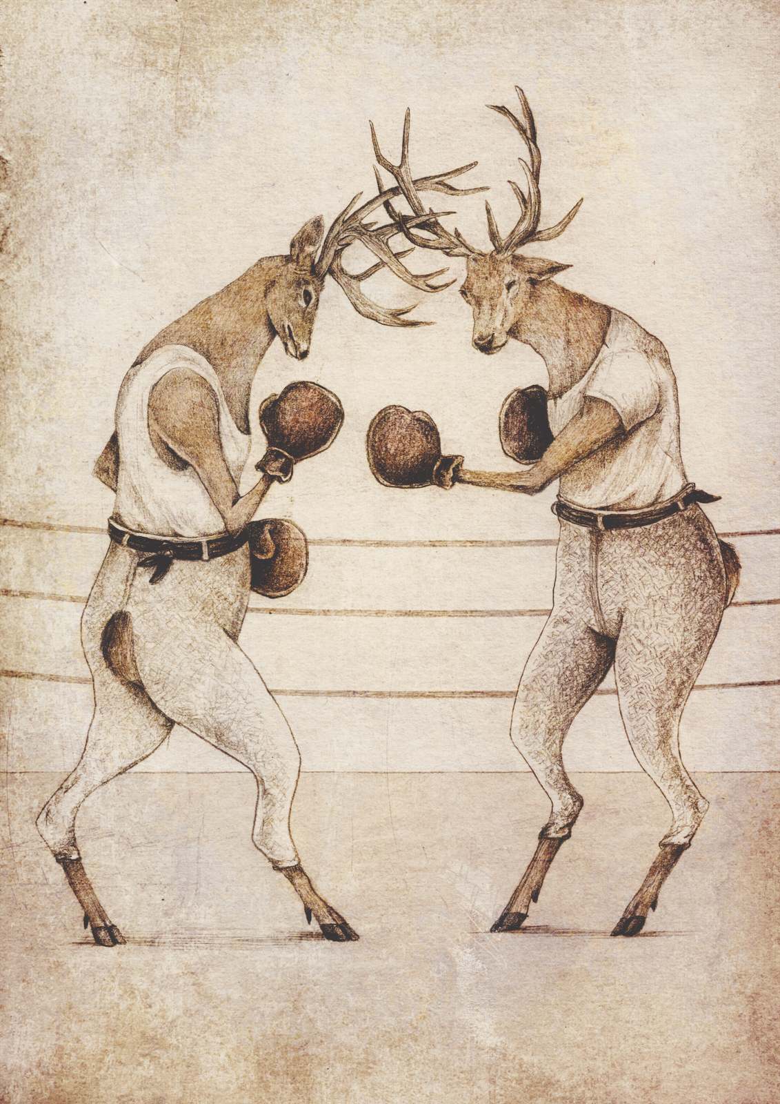 Poster - Boxing Deer