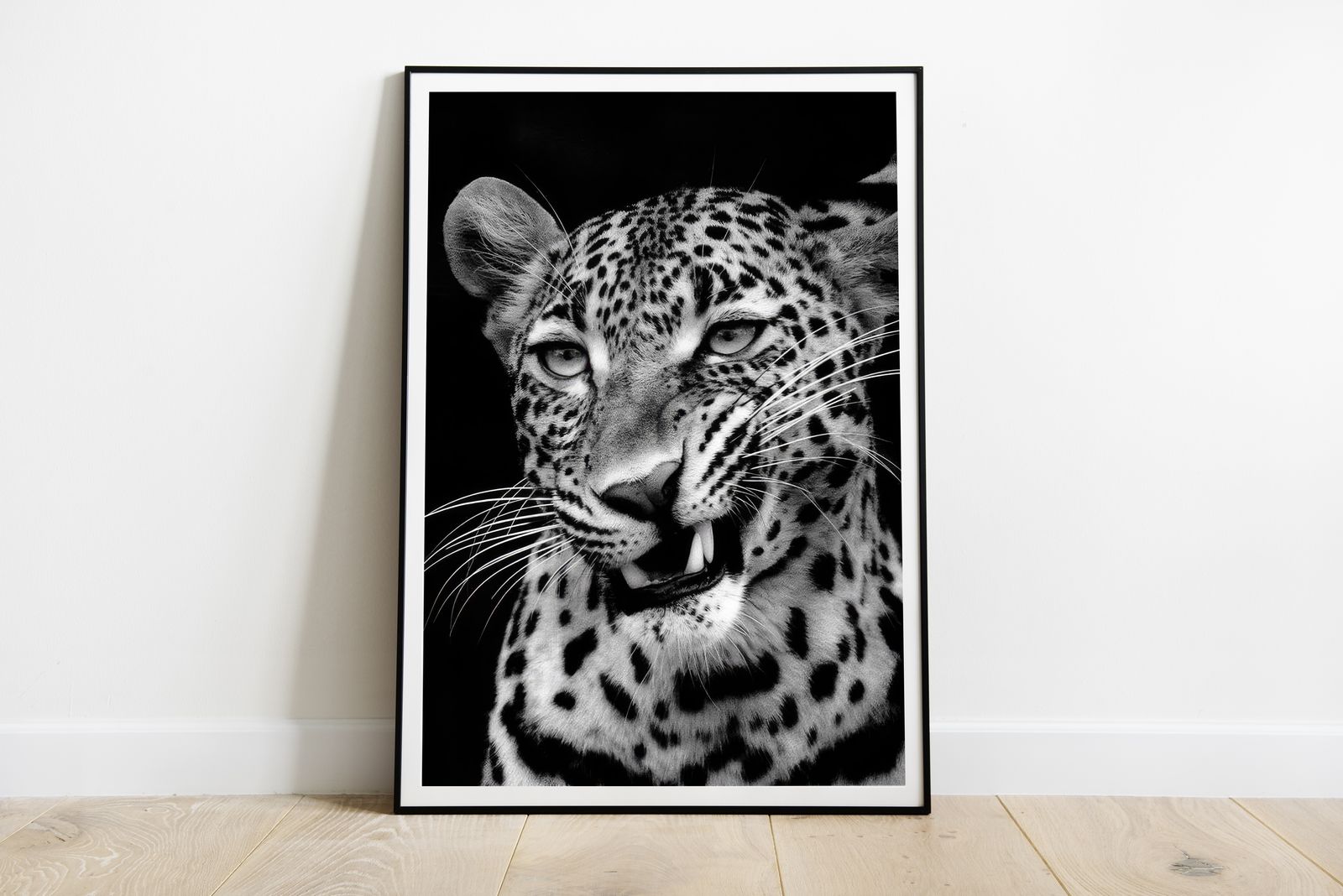 Poster - Black and White Leopard