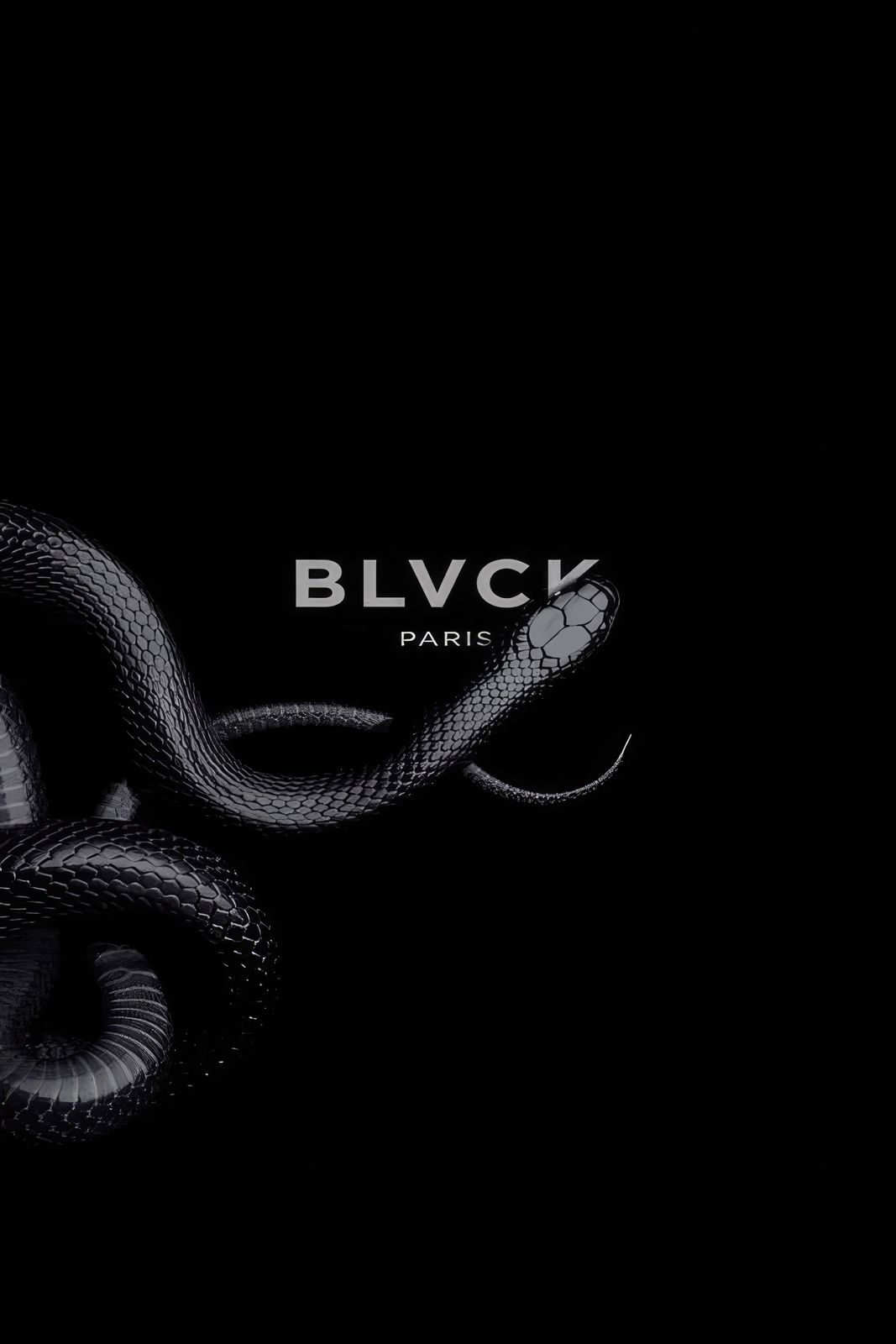 Poster - Black Snake Design