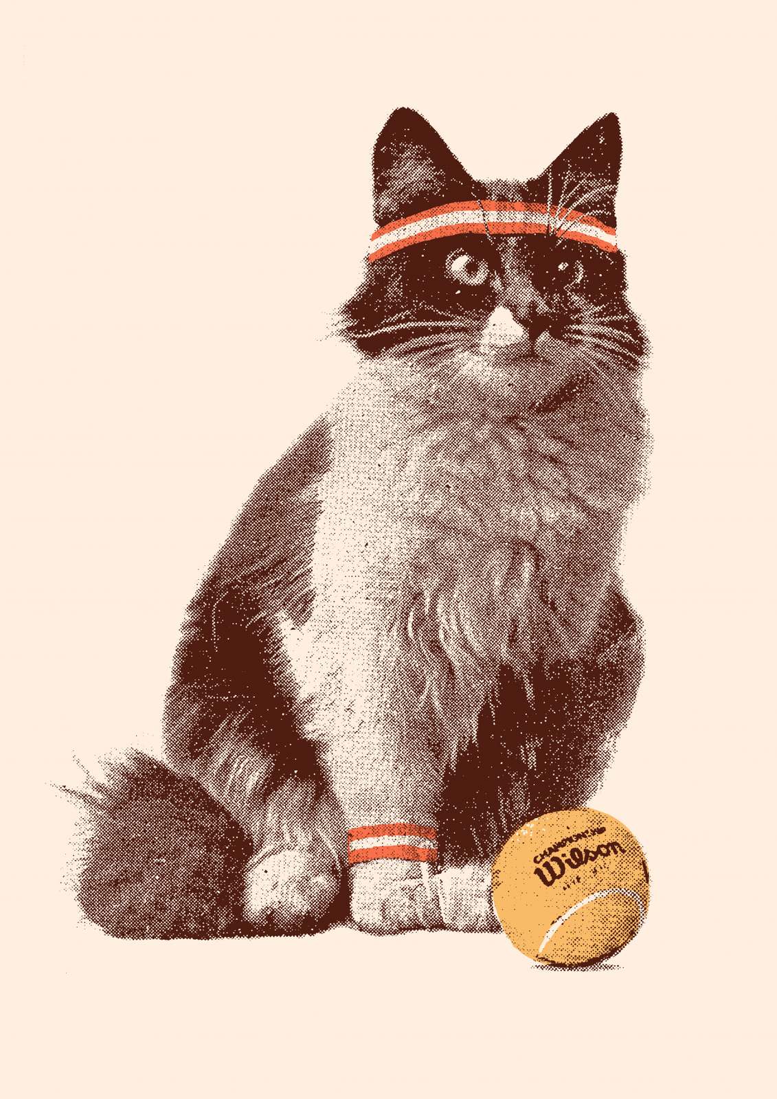 Poster - Tennis Cat