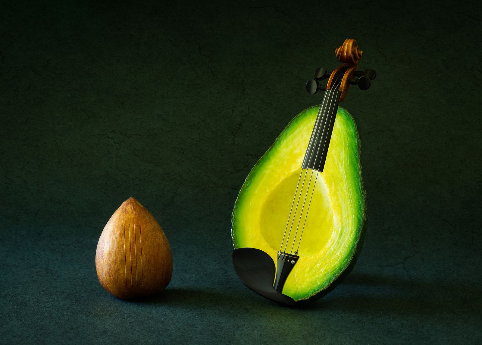 Poster - Avocado Violin