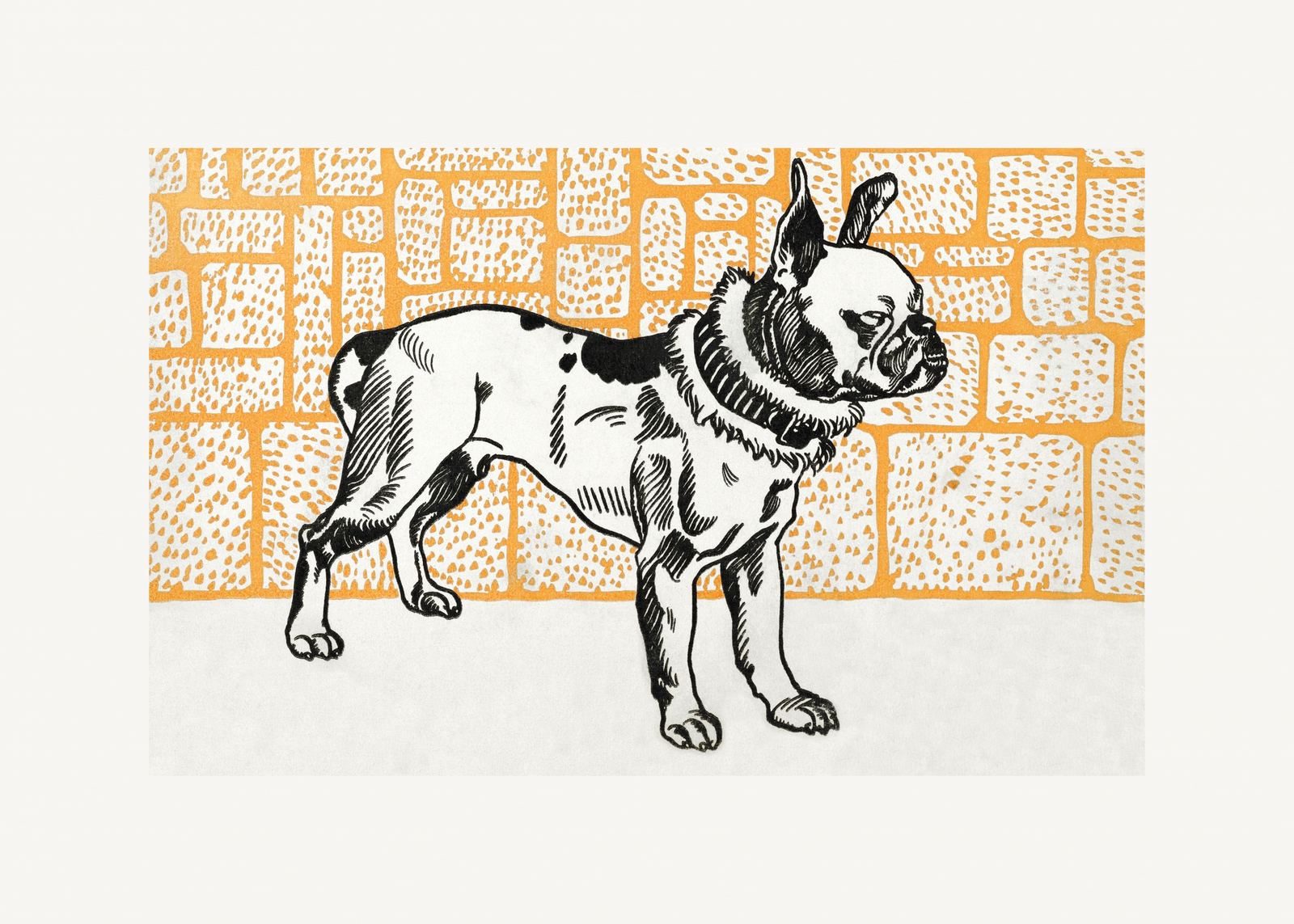 Poster - Dog Illustration