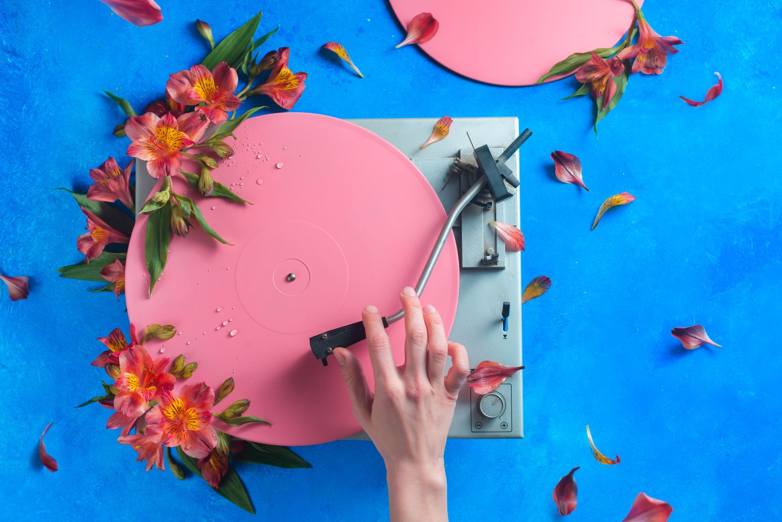 Poster - Turntable Blossoms