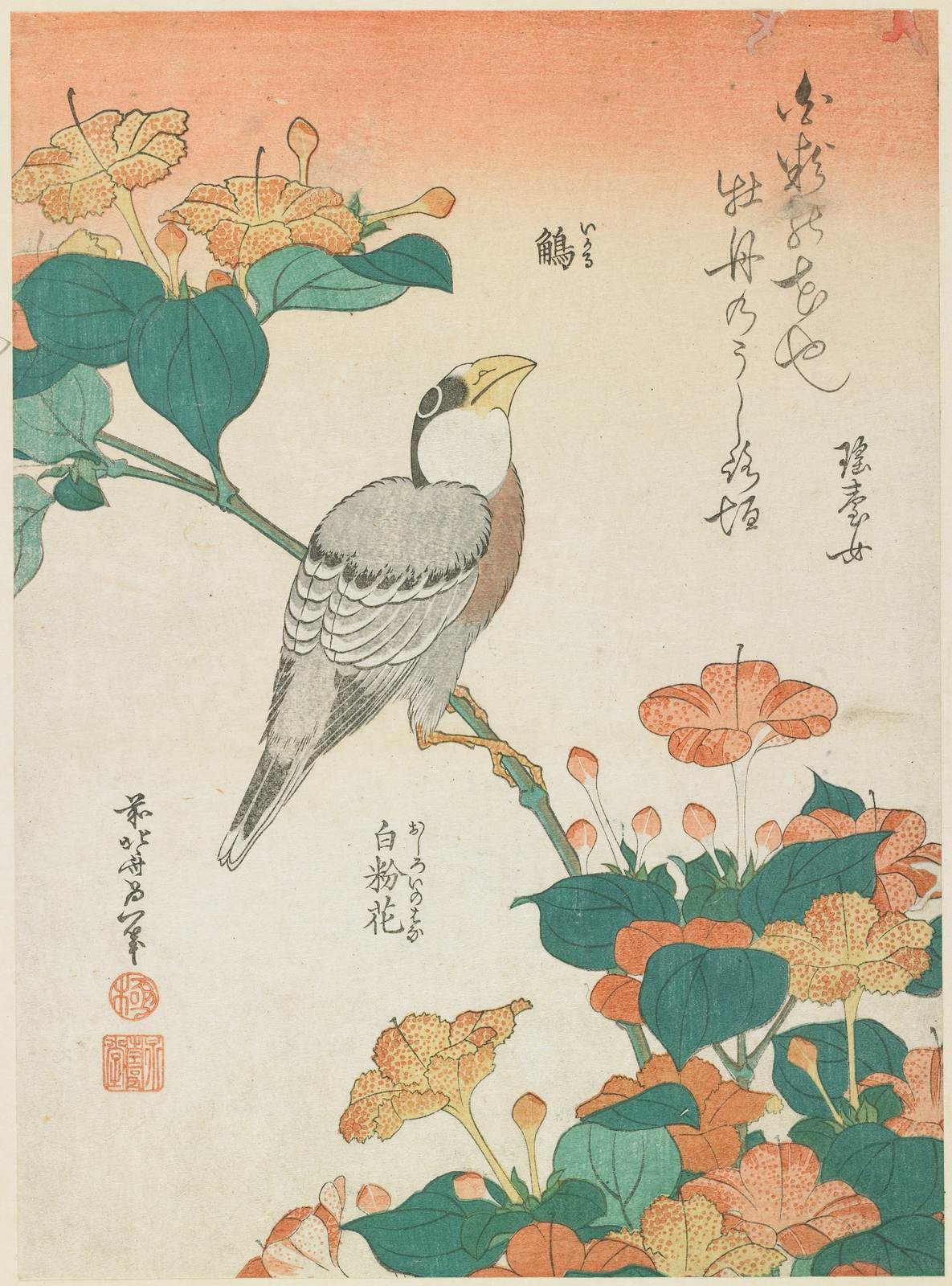 Poster - Bird and Flowers